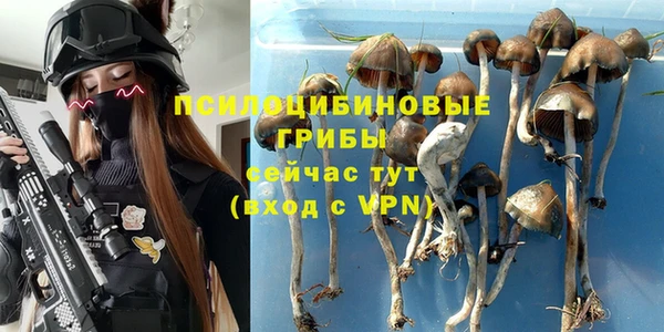 твердый Сафоново
