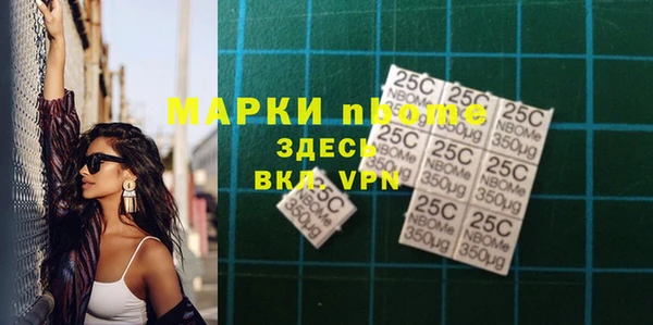 шишки Снежногорск