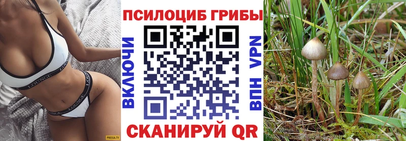Галлюциногенные грибы прущие грибы  Суровикино 
